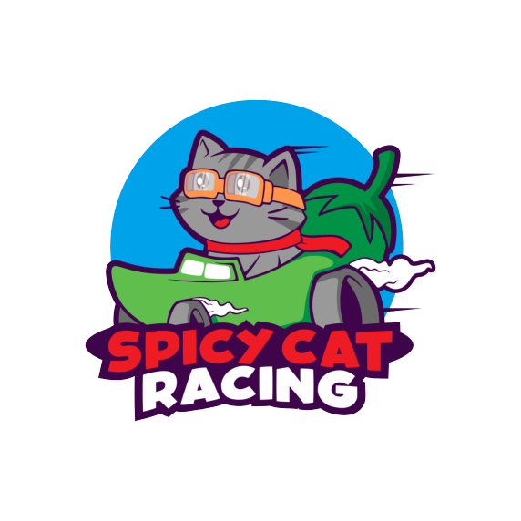 Spicy Cat Racing now selling motorsport safety and data gear!