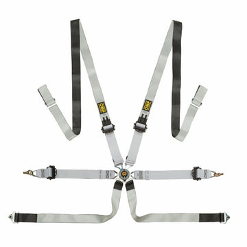 OMP One-D Racing Harness - FIA 8853-2016, Pull-Up, Magnesium-Free