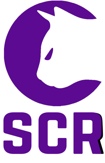 Spicy Cat Racing T-shirt - New Logo