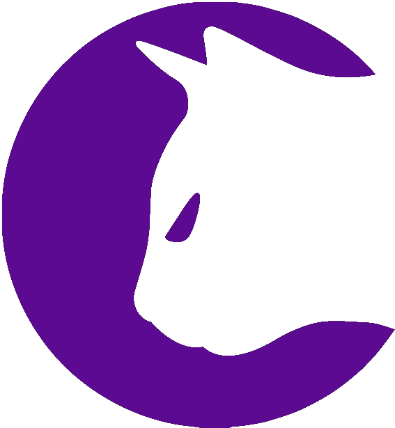 SPICY CAT CLUB MEMBERSHIP (1YR)