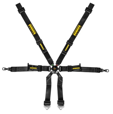 Schroth Profi 2x2 6 Point Racing Harness| Porsche GT3/GT4
