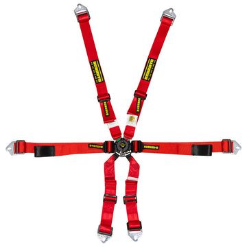 Schroth Enduro 2x2 6 Point Racing Harness