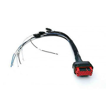 AiM Sports MXS/MXP/MXG Strada 23-Pin Harness
