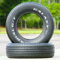 Vitour Galaxy R1 G/T - Spicy Cat Racing