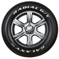 Vitour Galaxy R1 G/T - Spicy Cat Racing