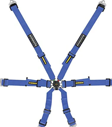 Schroth Flexi 2x2 6 Point Racing Harness