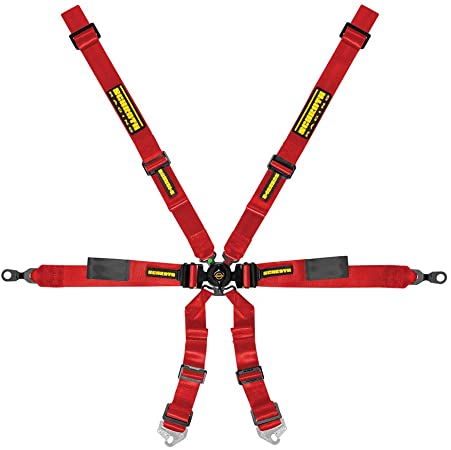 Schroth Enduro 2x2 6 Point Racing Harness |Porsche GT3/GT4